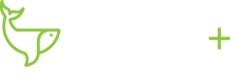 Webnerdplus Ghana